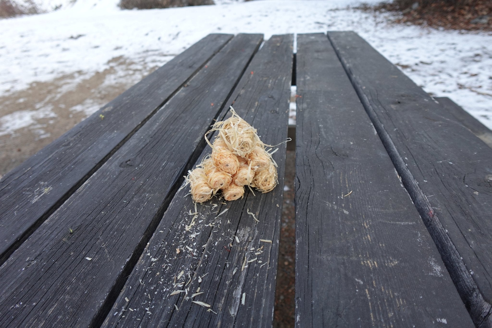 AmberLog - Natural Pine Fire Starter - Cambium Camping