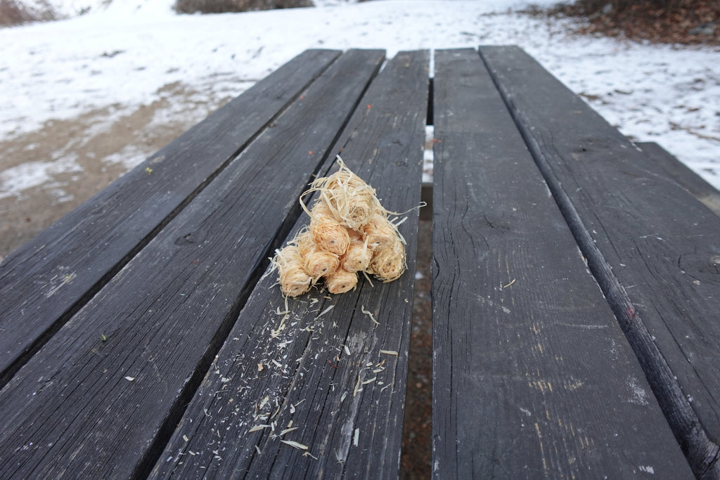 AmberLog - Natural Pine Fire Starter - Cambium Camping