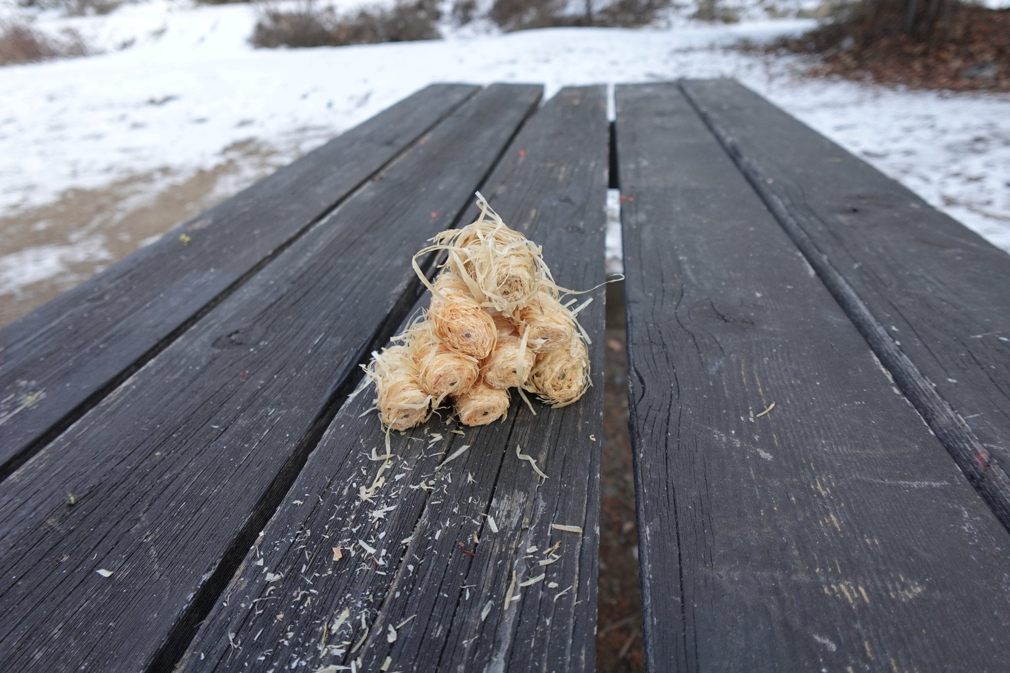 AmberLog - Natural Pine Fire Starter - Cambium Camping