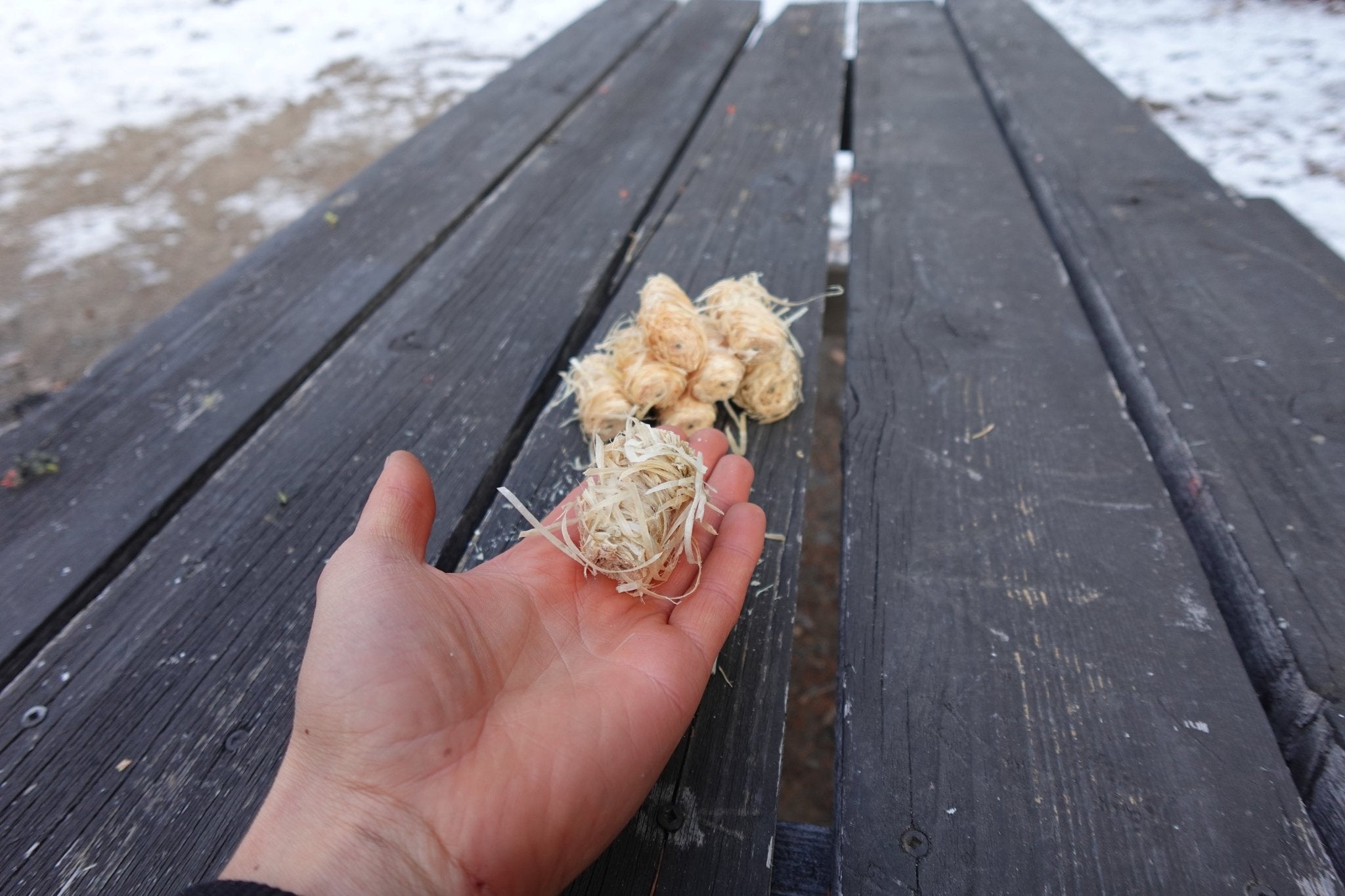 AmberLog - Natural Pine Fire Starter - Cambium Camping