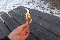 AmberLog - Natural Pine Fire Starter - Cambium Camping