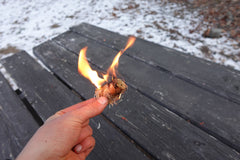 AmberLog - Natural Pine Fire Starter - Cambium Camping