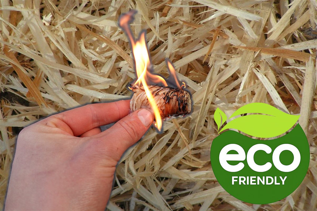 AmberLog - Natural Pine Fire Starter - Cambium Camping