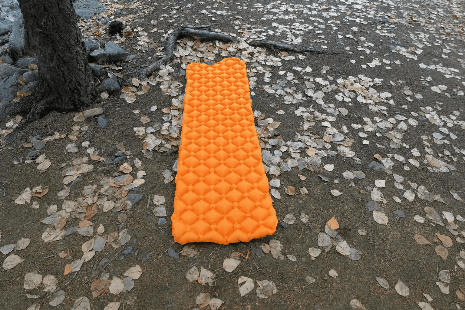 EverRest - Outdoor Sleeping Pad - Cambium Camping