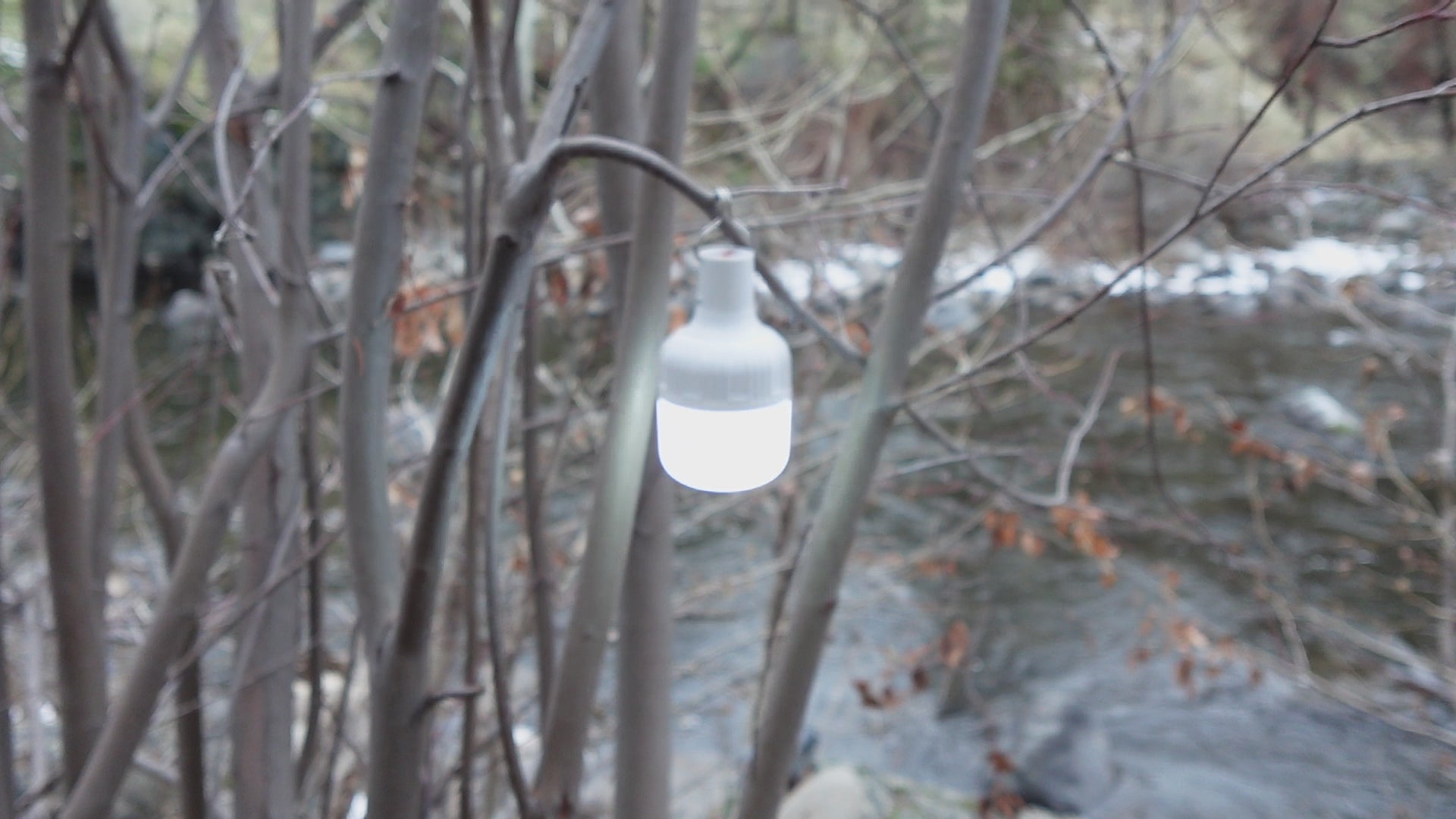 Light Lantern - LED Bulb